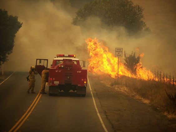 From the Ashes, Oakland Rises: Strength of a Community After Fires